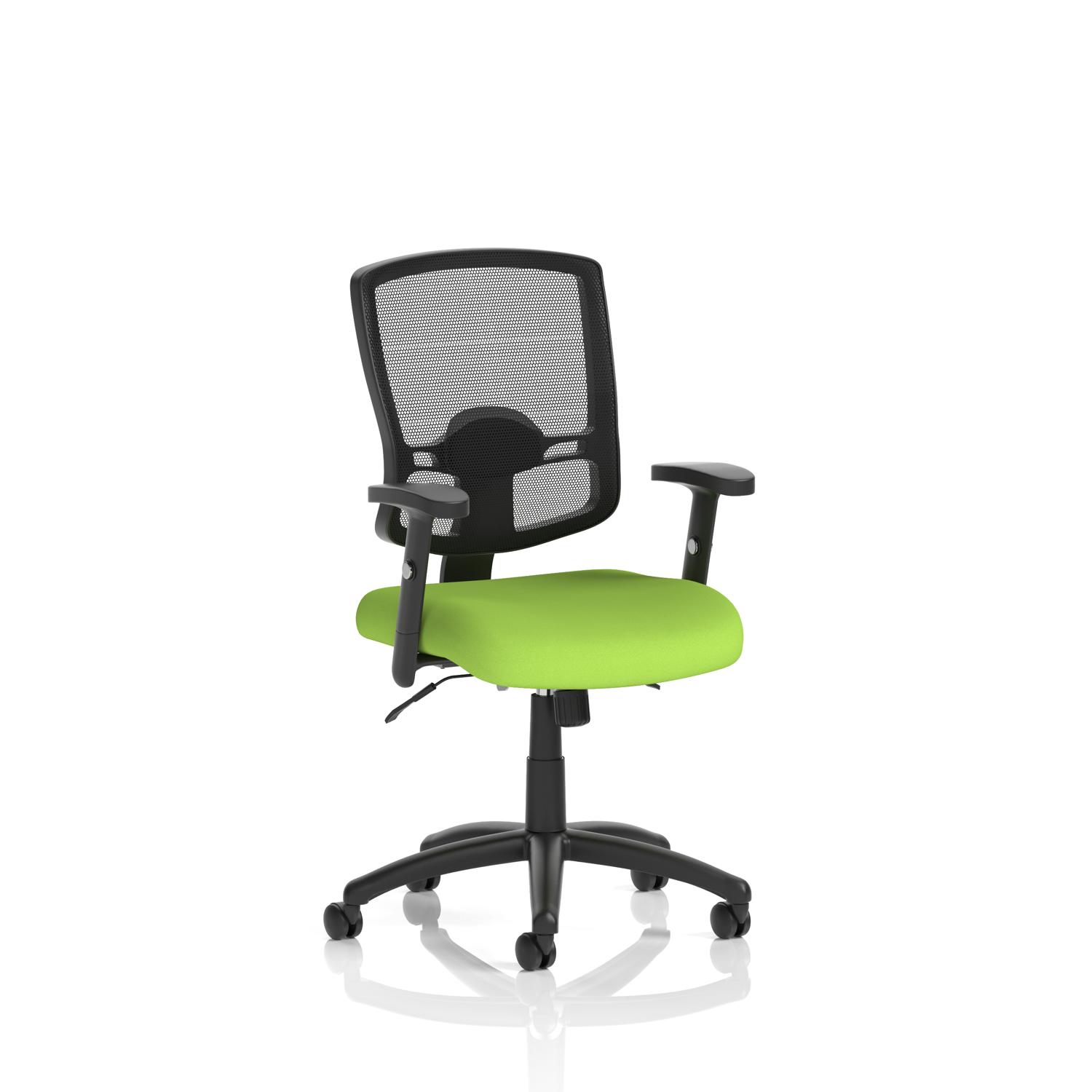 Portland II Mesh Back With Height Adjustable Arms Bespoke Colour Seat Myrrh Green