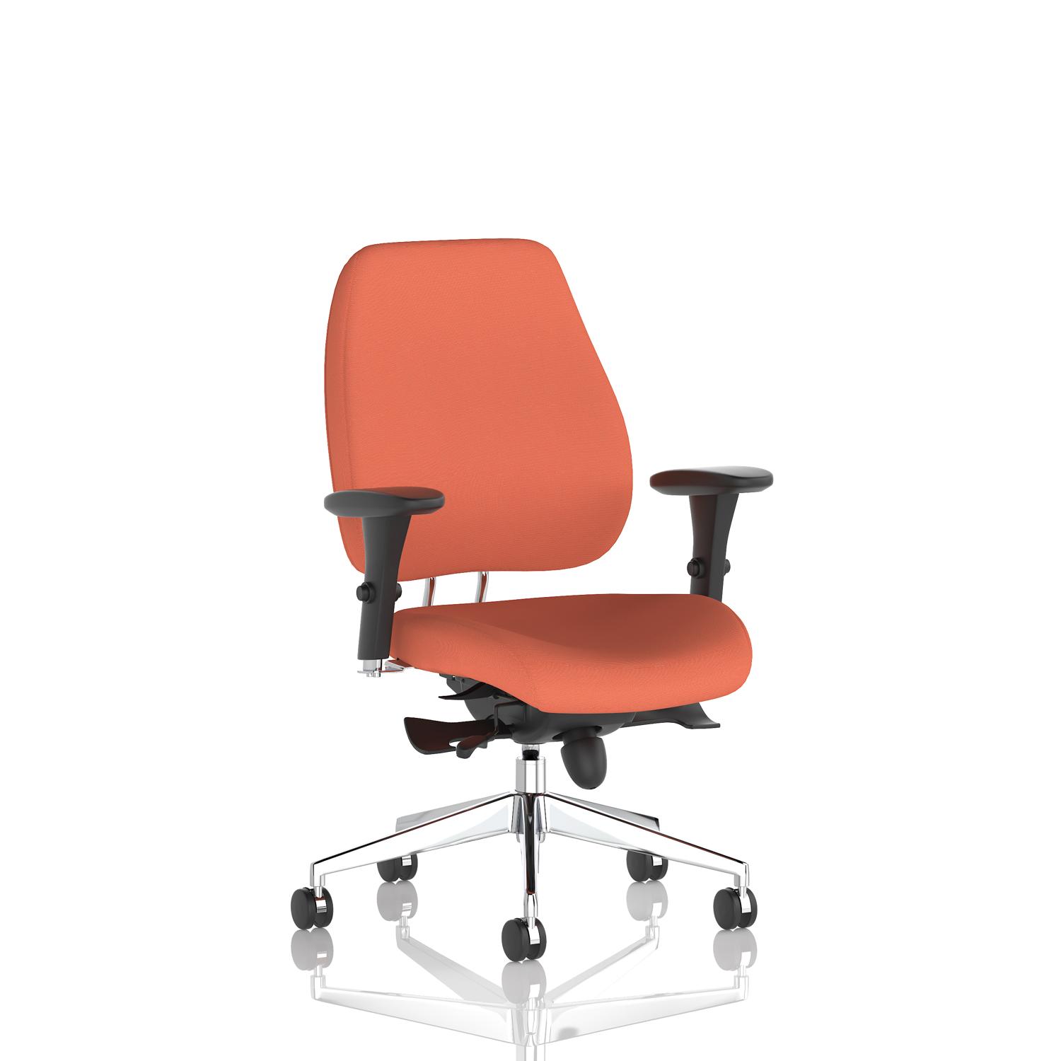 Chiro Plus Bespoke Colour Back And Seat Quest Crab