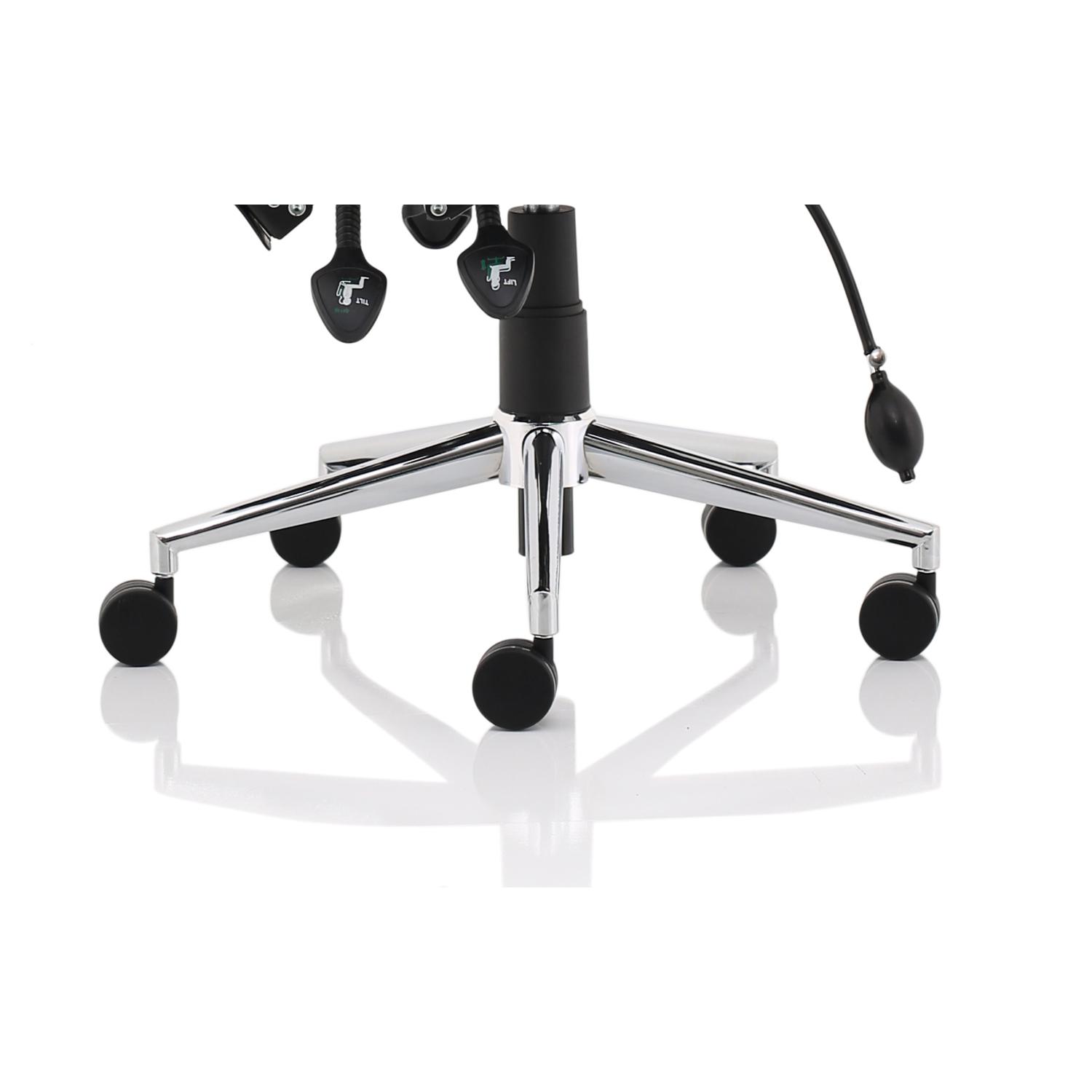 Chiro Medium Back Black