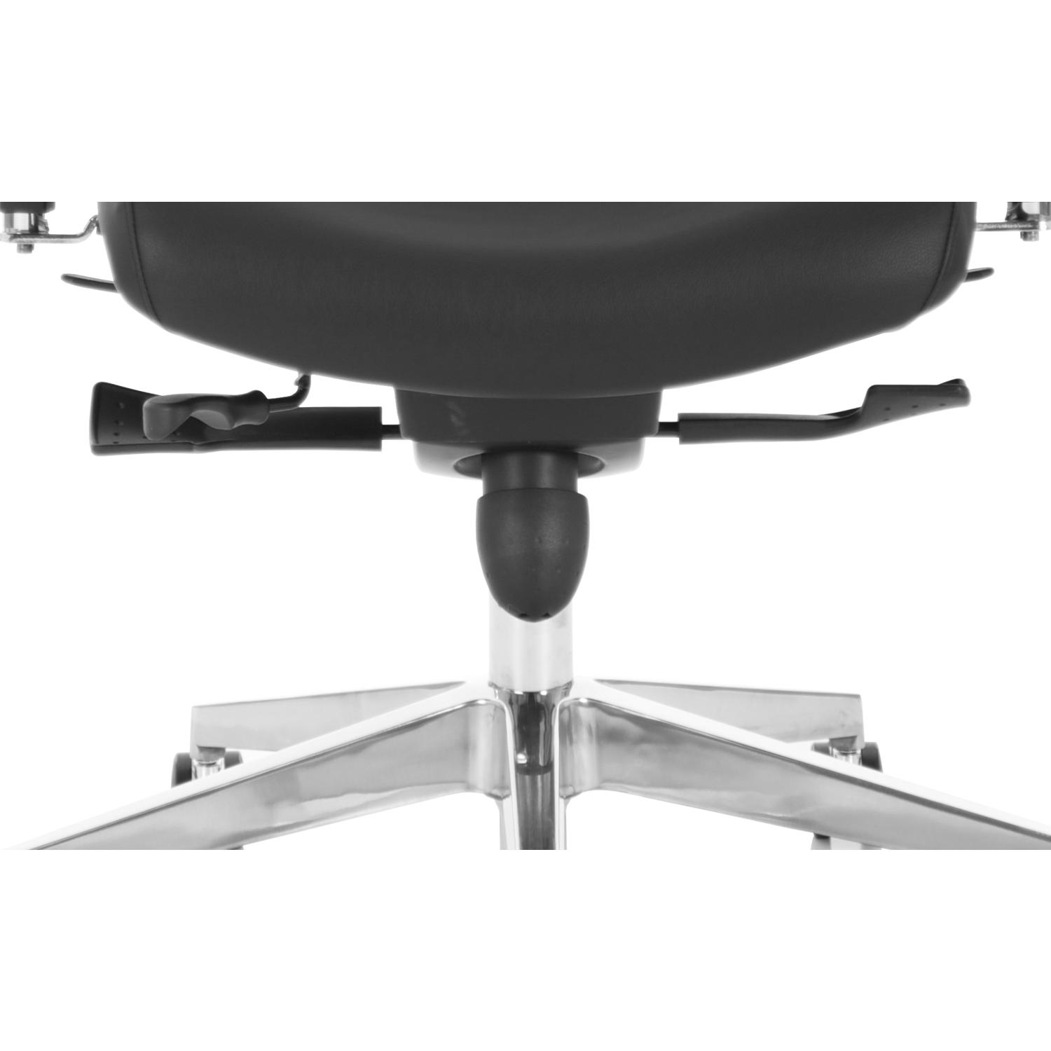Chiro Plus Ultimate Black Leather
